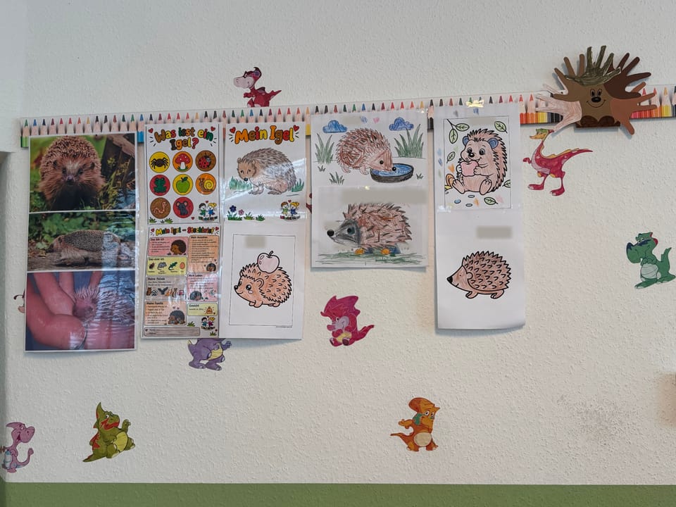 Wand mit Igelfotos, Infoblättern und selbst ausgemalten Igelbildern der Kinder